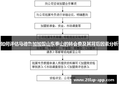 如何评估马德鲁加加盟山东泰山的转会费及其背后因素分析