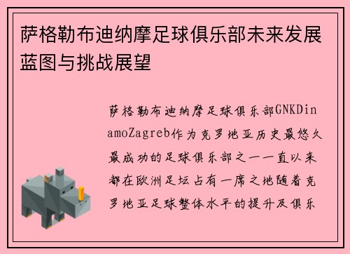 萨格勒布迪纳摩足球俱乐部未来发展蓝图与挑战展望