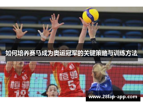 如何培养赛马成为奥运冠军的关键策略与训练方法