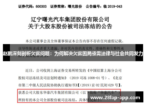 赵鹏深刻剖析欠薪问题：为何解决欠薪困局亟需法律与社会共同发力